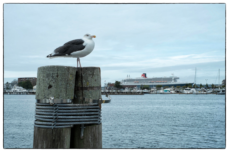 16.10.2013 Warwick(RI) – Hyannis (MA)