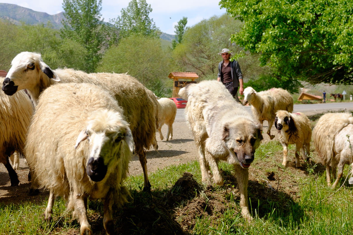 11.5.2016 Armenien – von Tatev nach Yerevan