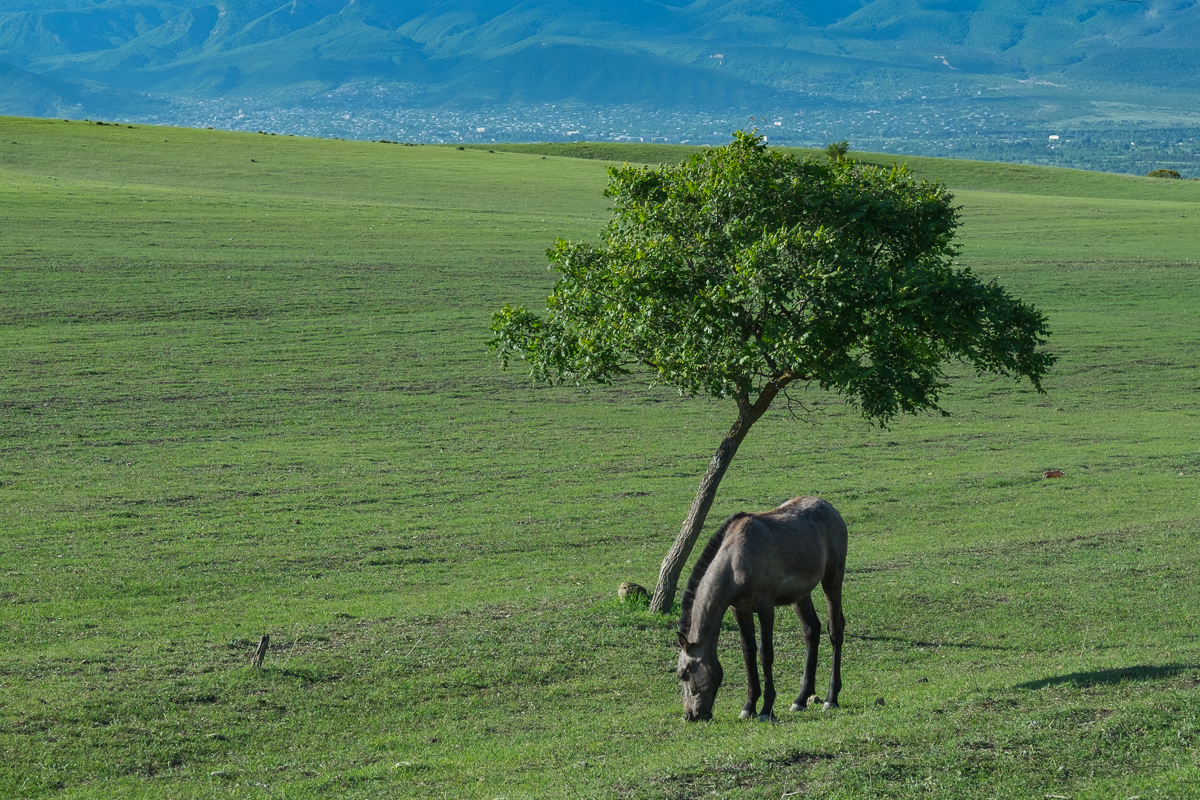 19.5.2016 Georgien –&nbsp;Tbilisi