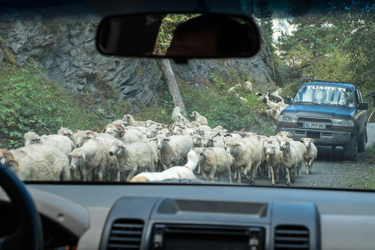...und es herrscht reger Verkehr