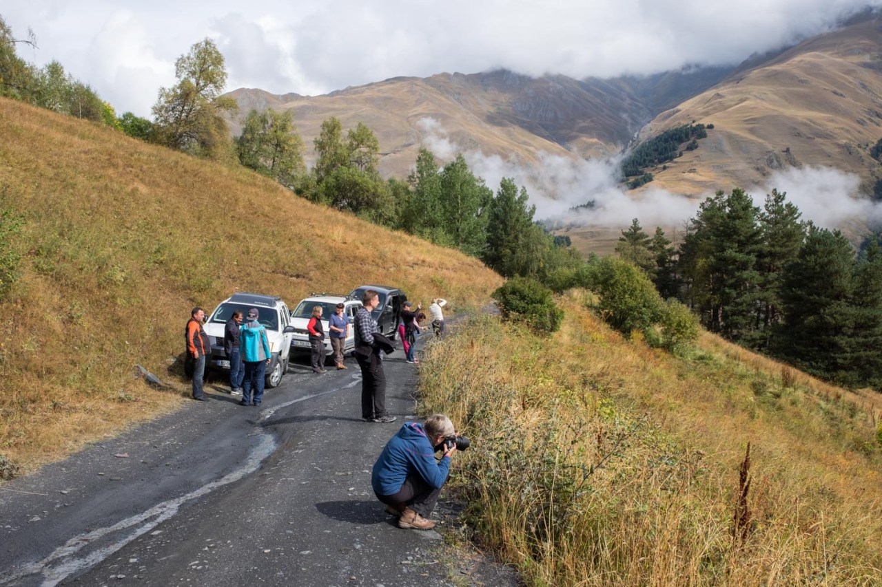 ...so erwartet uns 200m weiter eine sonnige Blumenwiese...