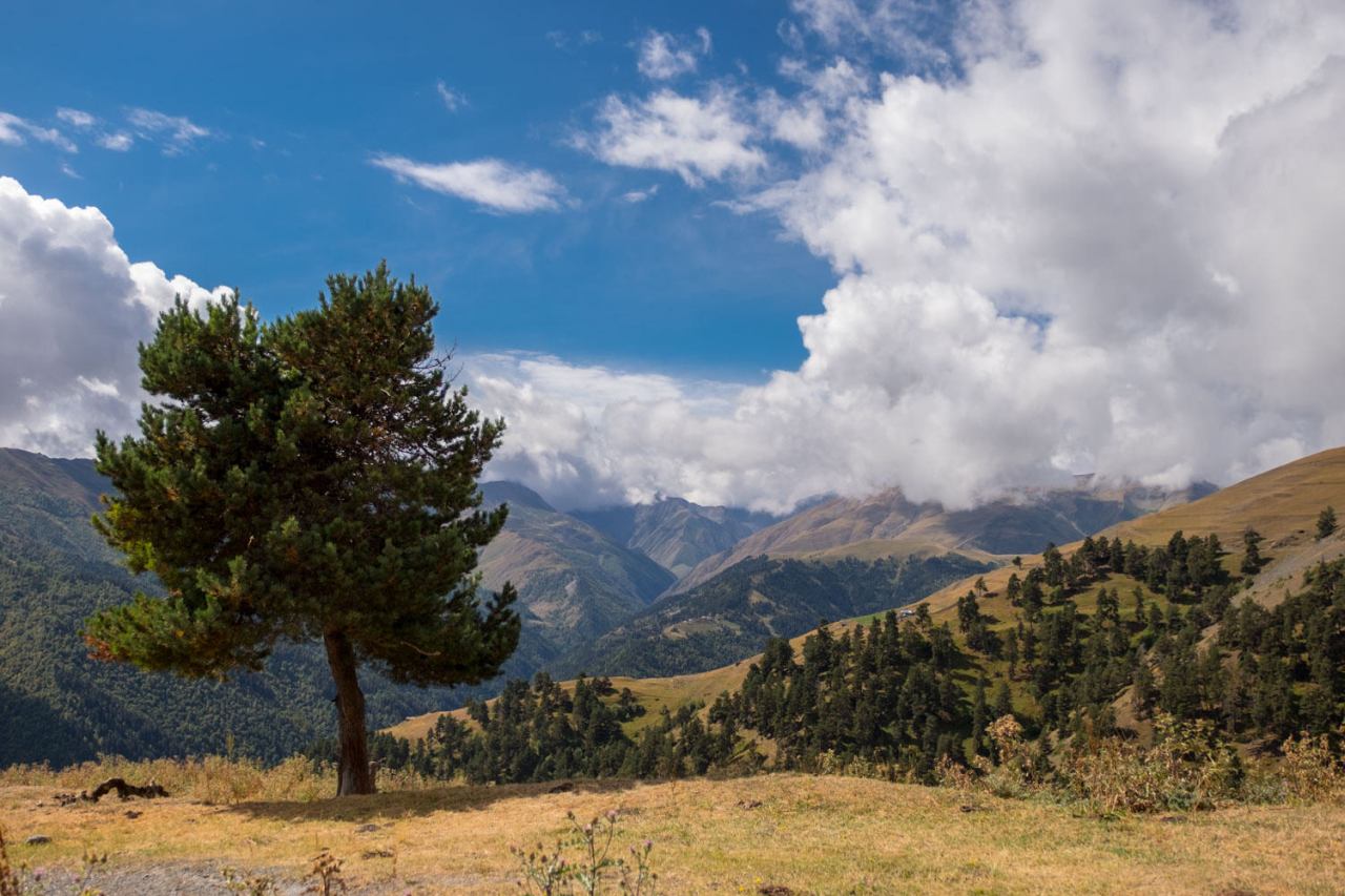 ... freier Blick in die andere Richtung.