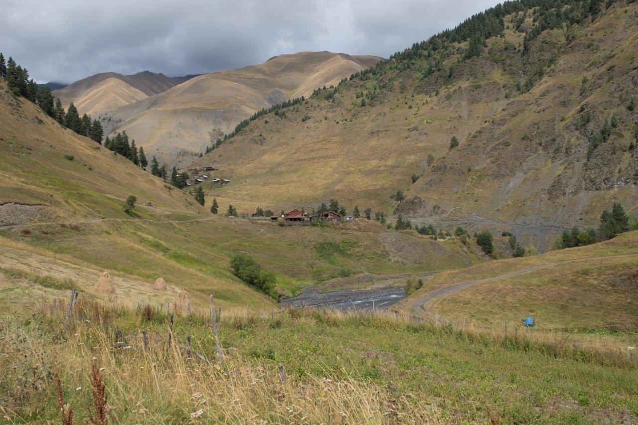 Ein schöner Platz für unser Picknick.