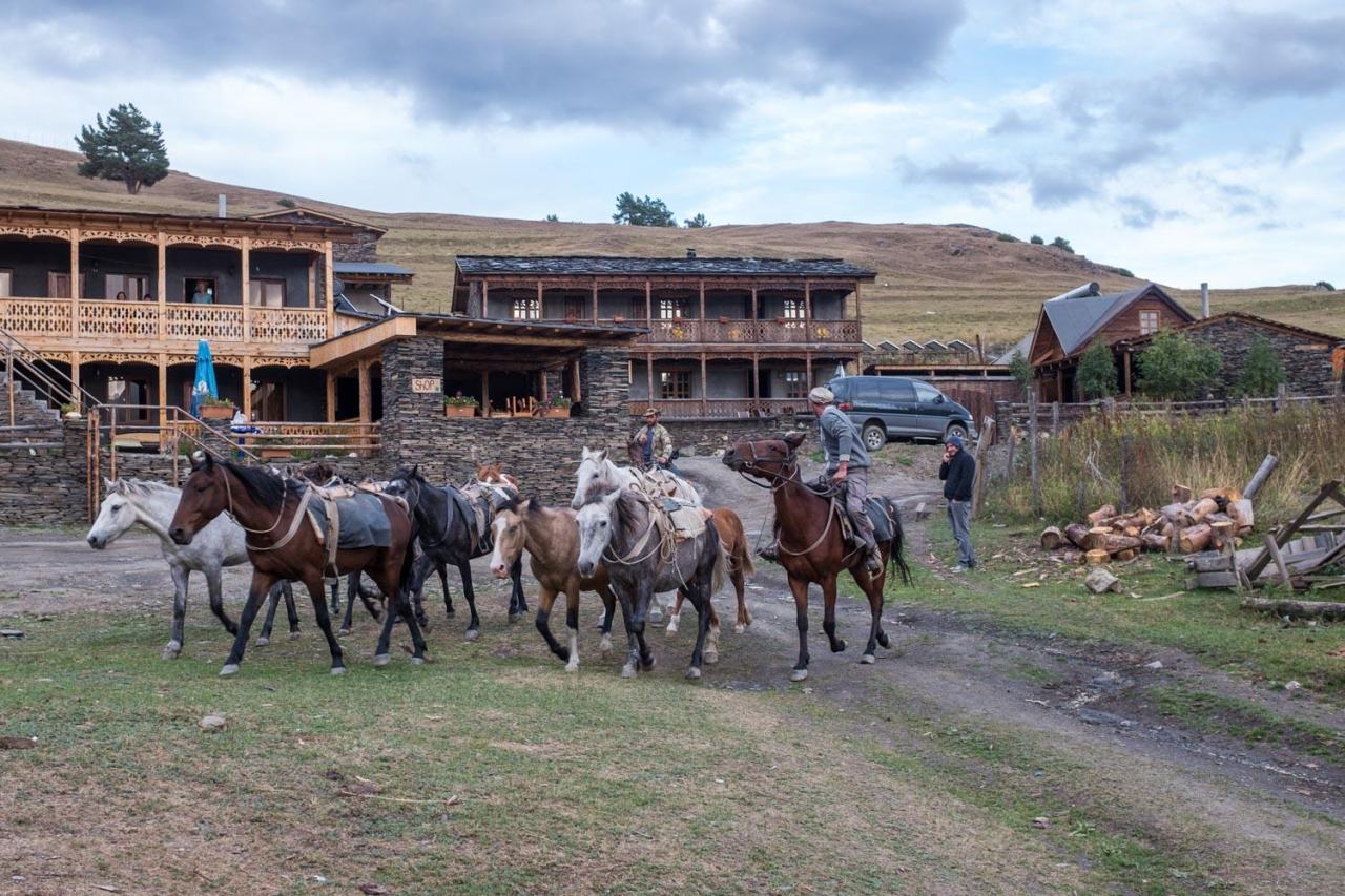 Am Abend vor unser Unterkunft die örtlichen "Cowboys"