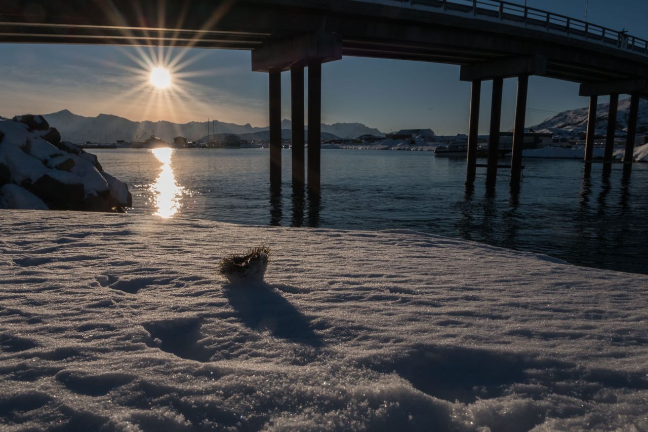 28.2.2017 In Sommarøy