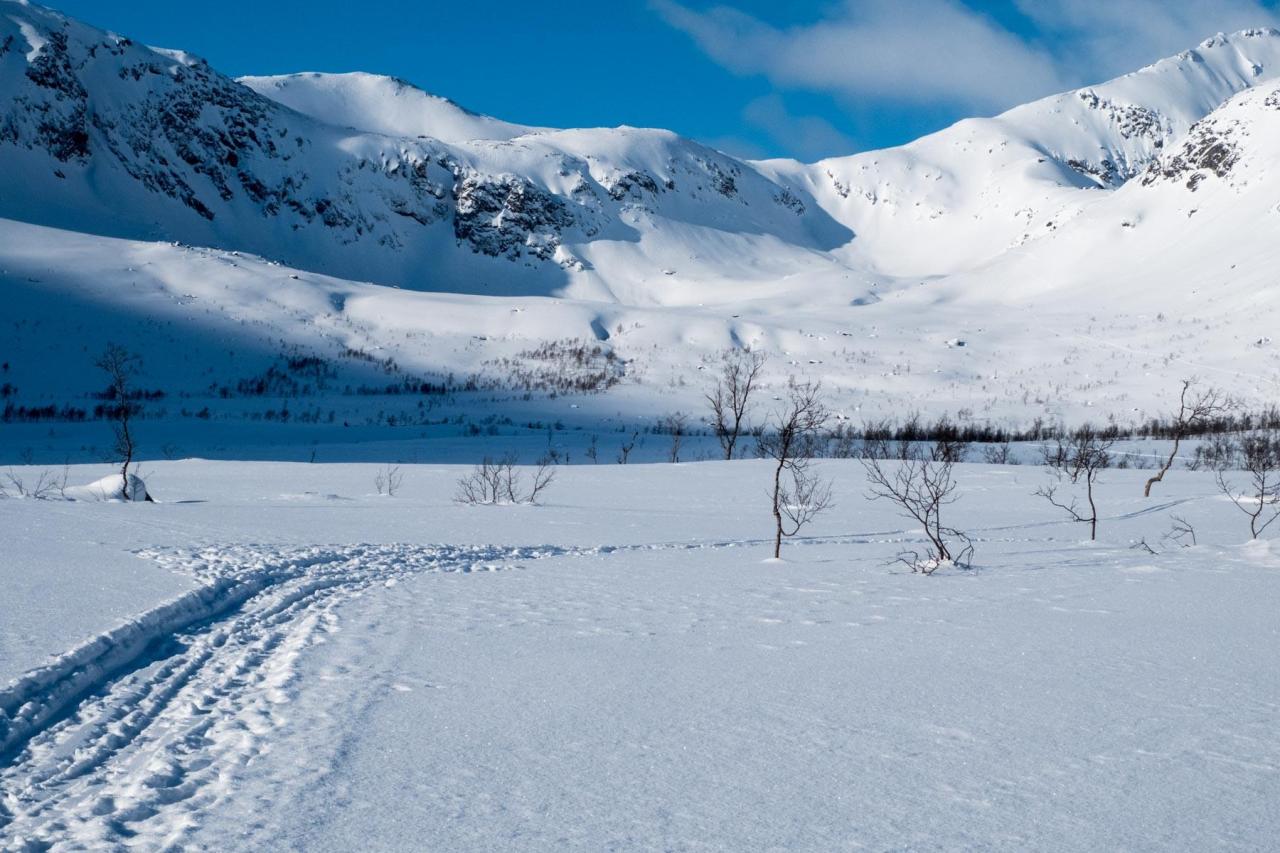 29.2. – 5.3.2017 Sommarøy, Tromsø und&nbsp;Umgebung