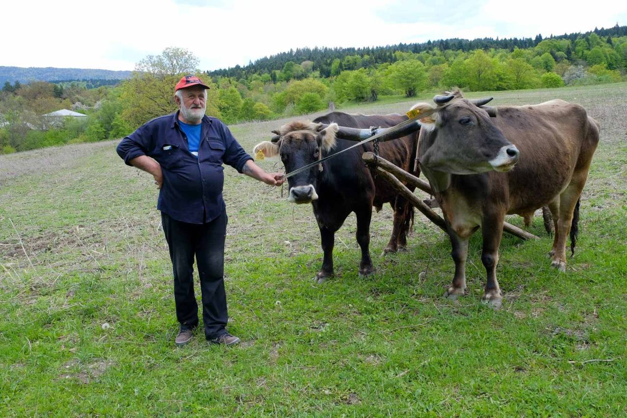 6.5. – 21.5.2017 Georgien (Teil 4) Umgebung von&nbsp;Kutaisi