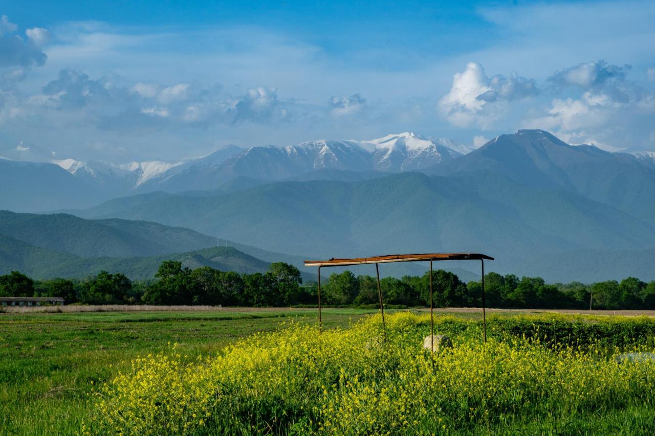 Georgien 2019 (Tbilisi und&nbsp;Kachetien)