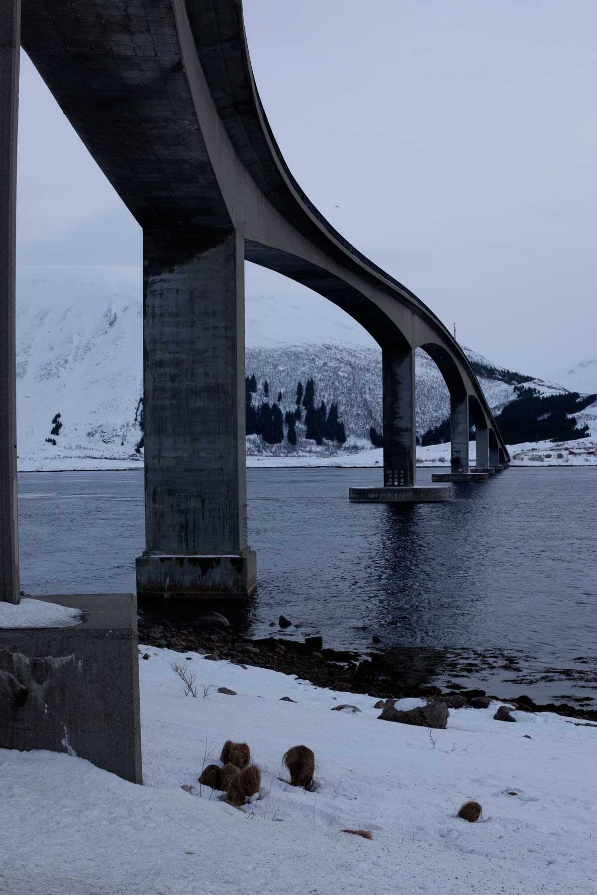 Brücke über den Gimsøystraumet