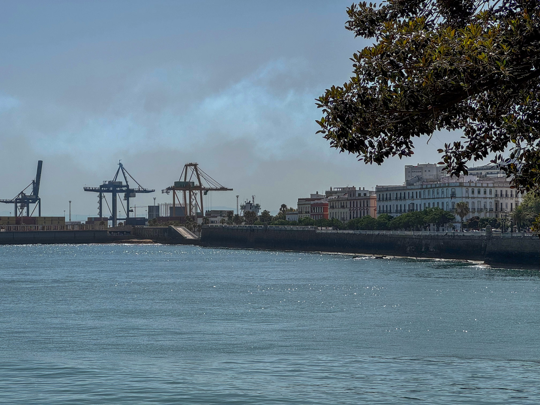 Cadiz