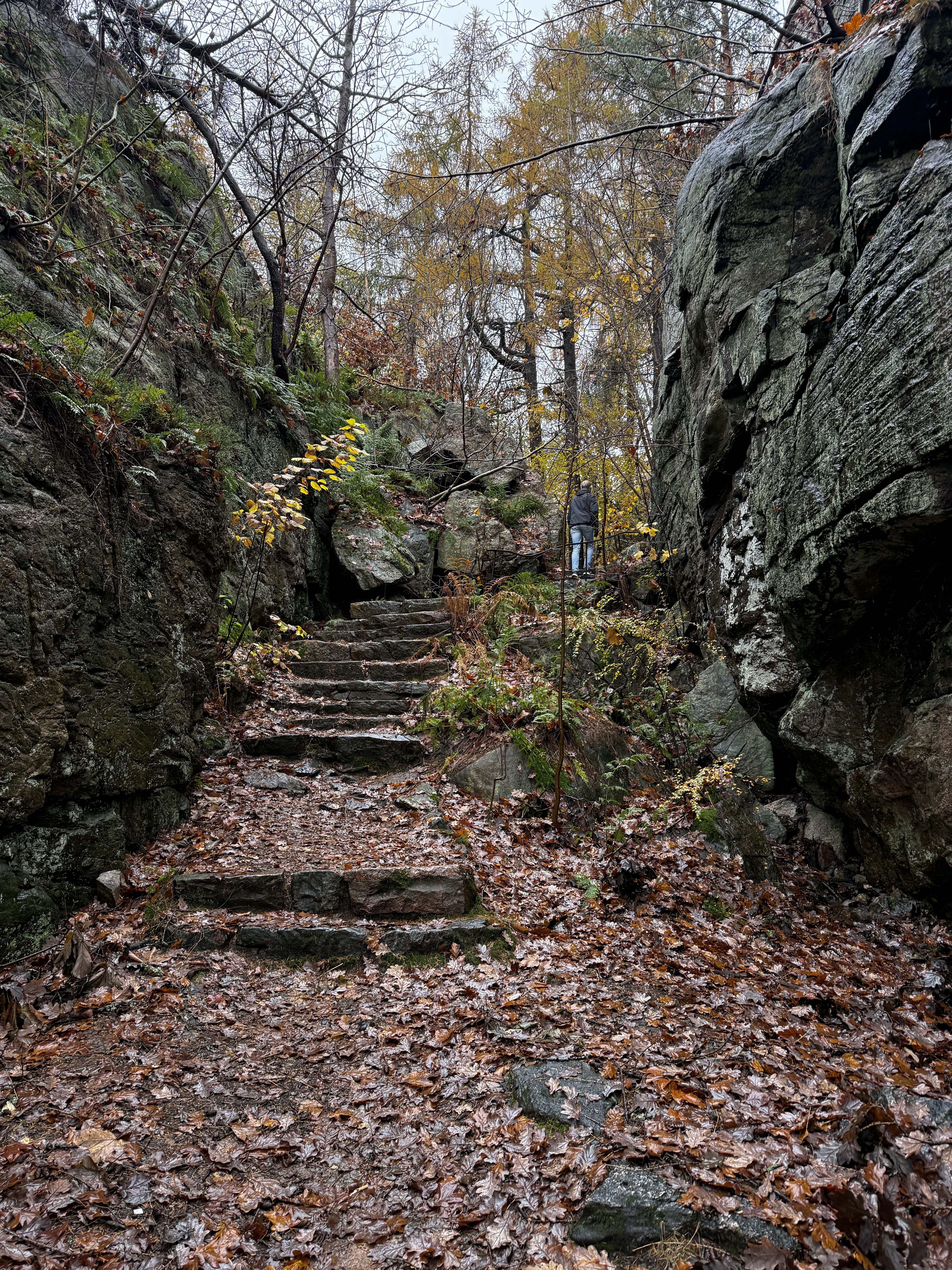 Aufgang zum Friområde Baneheia