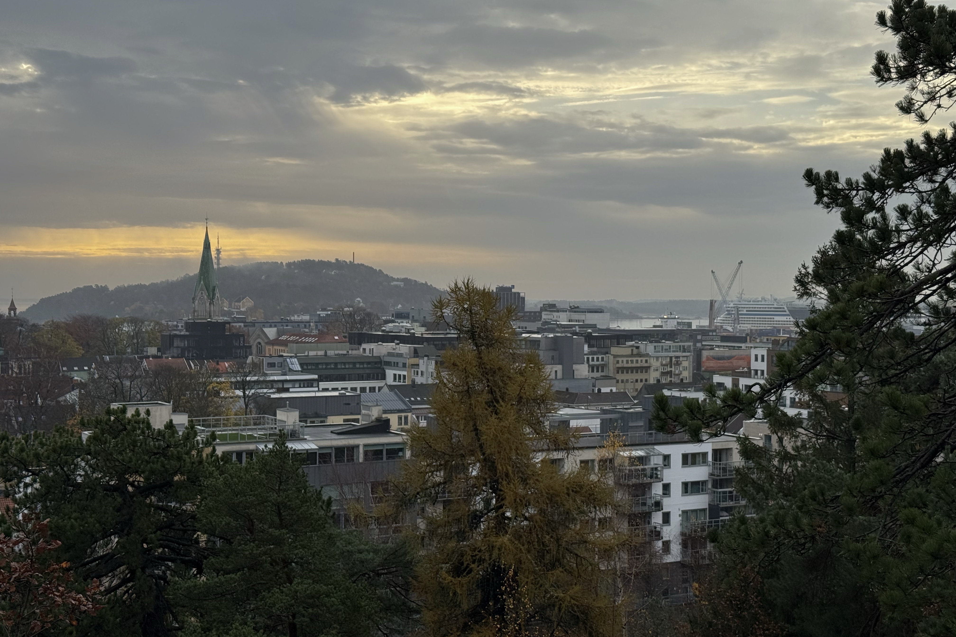 Ausblick von Baneheia