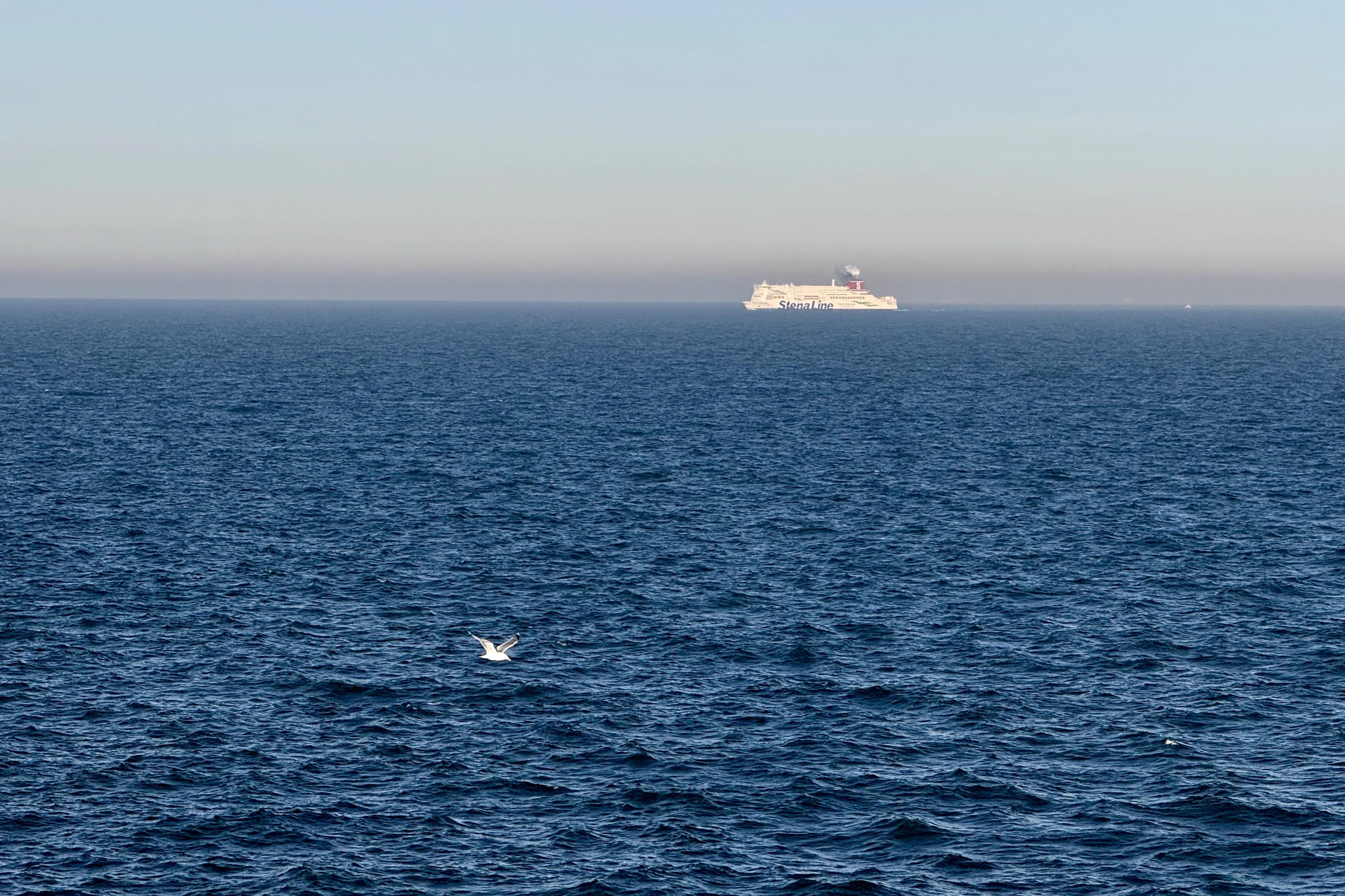 Stenaline von Hoek van Holland nach Harwich
