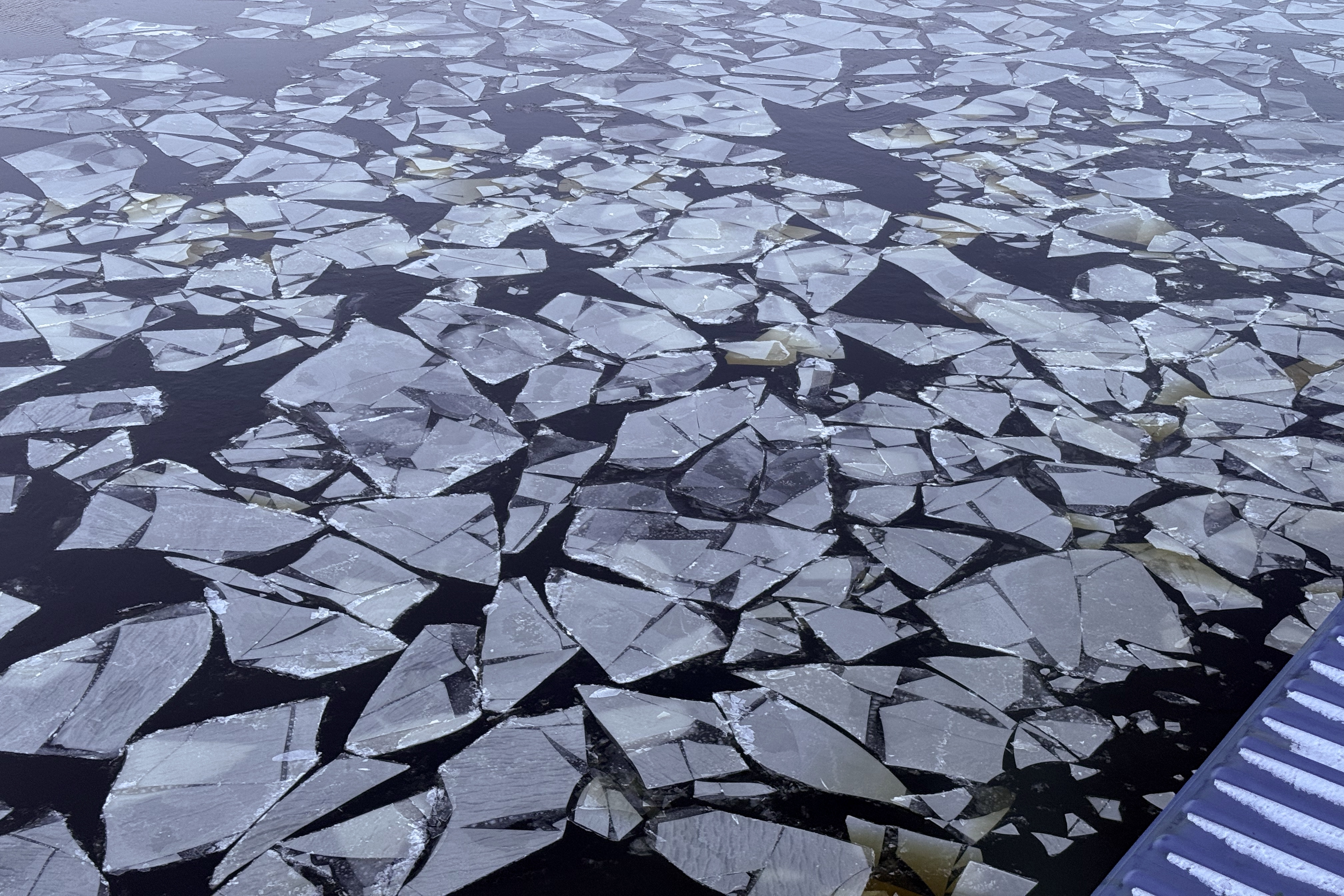 Zwischen den Schollen ist es auch gefroren