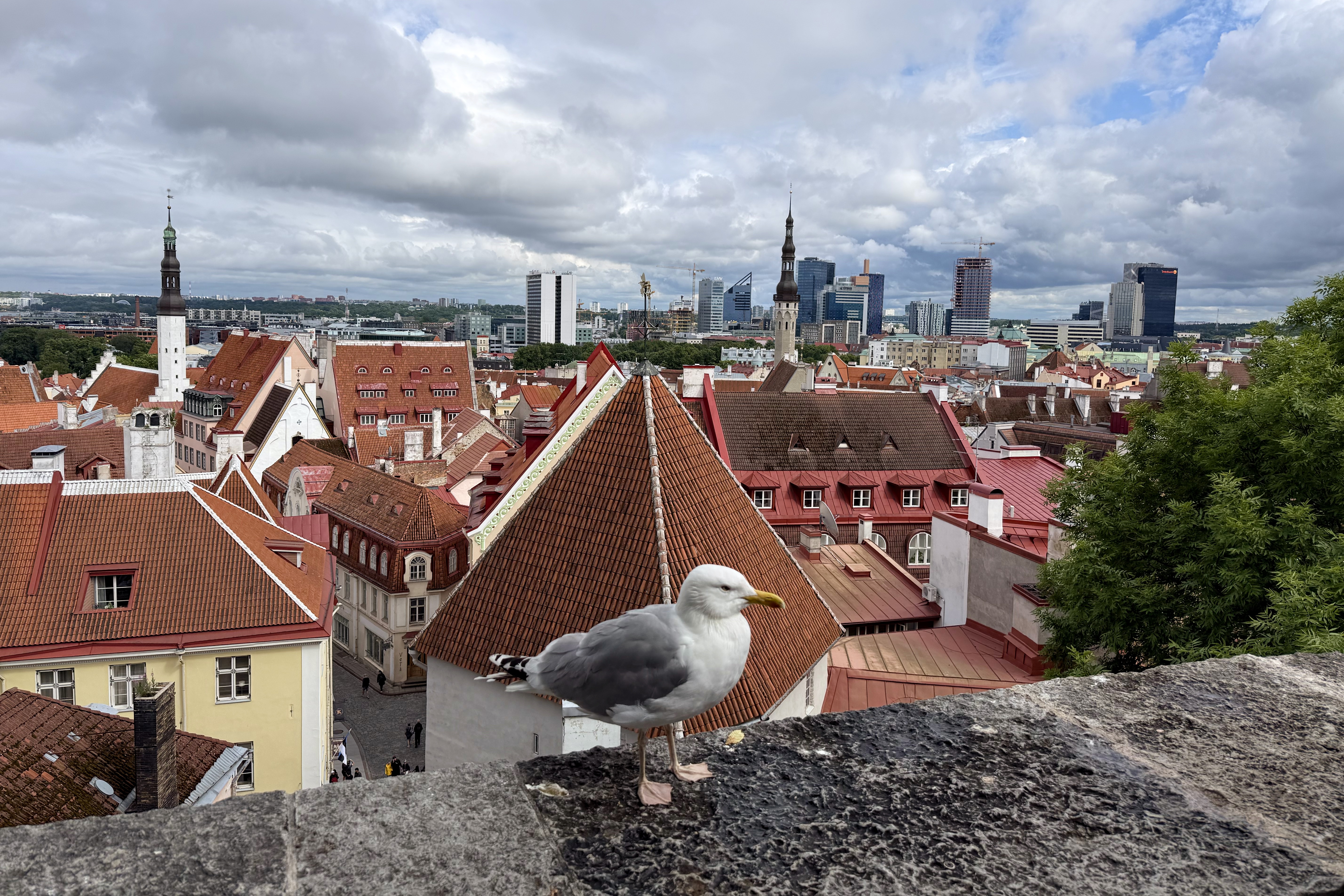 Tallinn